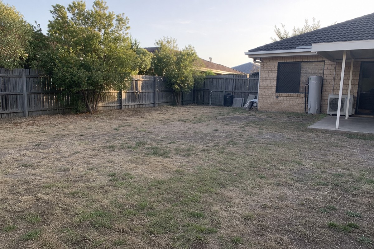 Backyard before turf installation — patchy dead grass